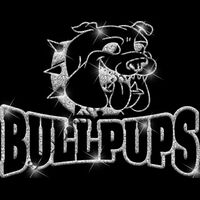 GLT32 SILVER GLITTER Thumbnail