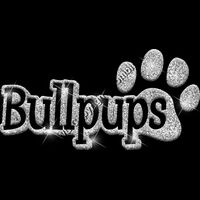 GLT17 SILVER GLITTER Thumbnail